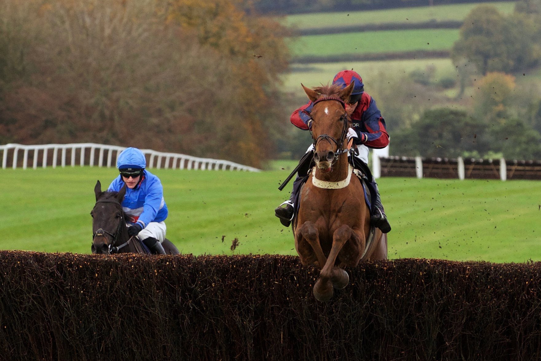 Thursday 9th November 2023 - 6 winners from our last 12 runners | Blog